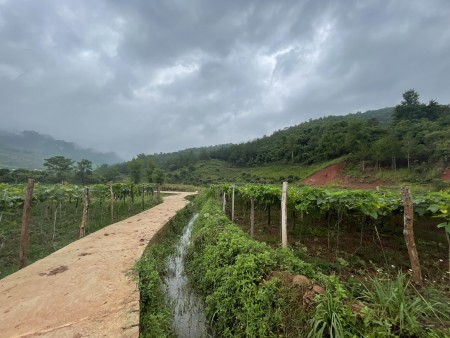Đi đến slide 4