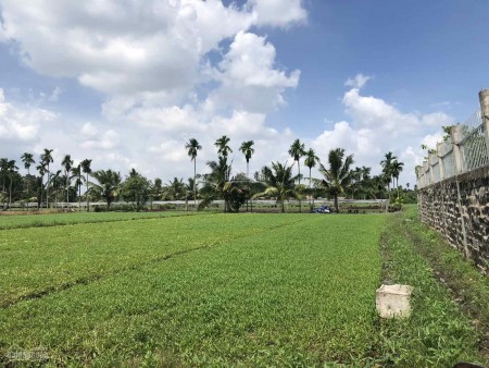 Cần ra nhanh Lô đất giáp tỉnh lộ 9, Hóc Môn 1000m2 chỉ 8,9 tỷ LH: 0982638022