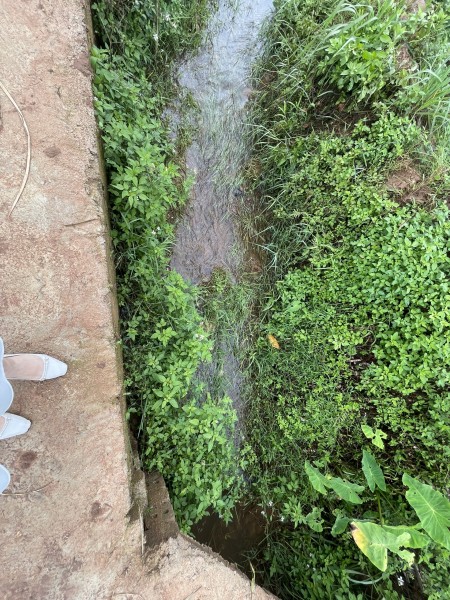 Đi đến slide 7