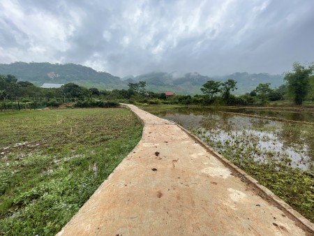 Đi đến slide 9