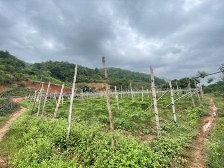 Đi đến slide 10