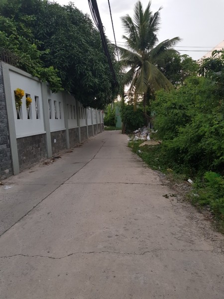 Đi đến slide 5