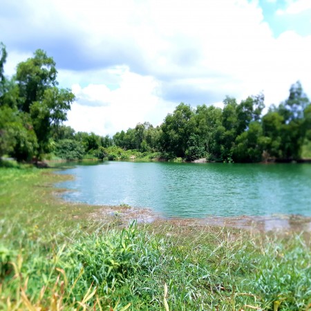 Đi đến slide 6