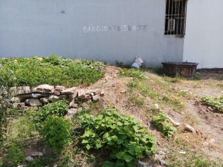 Bán đất Vĩnh Quỳnh, ở vượng ngõ nông thoáng, dt 45m2, giá 1 tỷ hơn