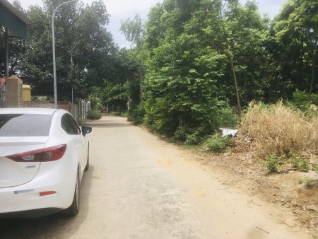 Đất Cổ Đông tiềm năng còn nhiều cho các nhà đầu tư, khu dân cư đông