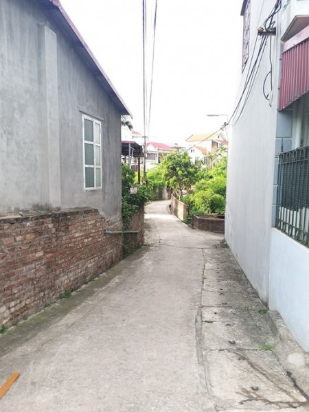 Bán đất Đông Dư, Gia Lâm, lô góc, 2 mặt đường to, cách mặt đê 20m giá chỉ 2.025 tỷ.