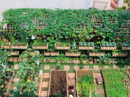 Bán gấp đất chính chủ tại trung tâm thành phố Bà Rịa, Vũng Tàu