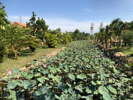 Đi đến slide 2