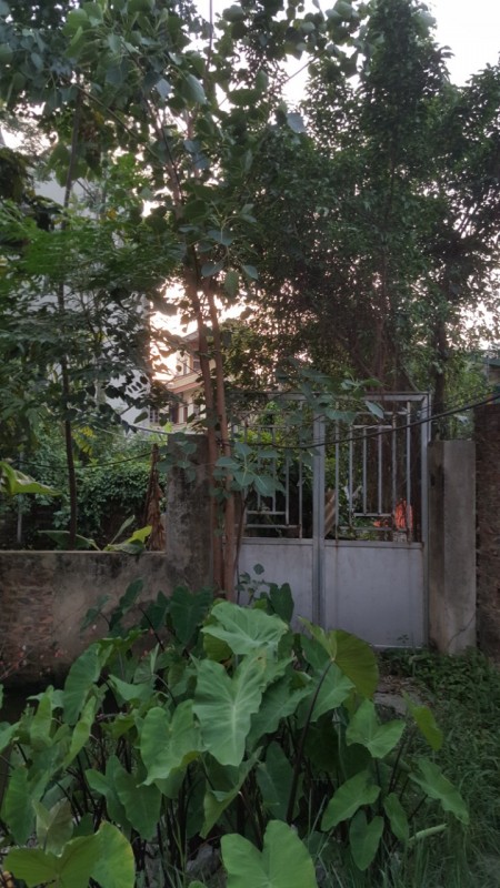 Bán đất Lạc Thị an sinh tốt ngõ nông thông, dt 44m2, giá hơn 1 tỷ
