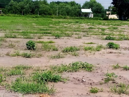 Bán đất chính chủ tại Bình Phước, sổ riêng, công chứng ngay, chiết khấu cực ưu đãi