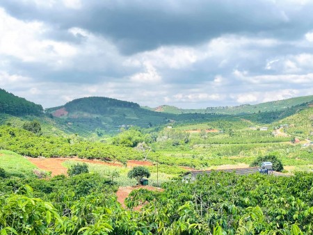 Bán nhanh 1035m2 đất đẹp, Tân Hà, view thung lũng, giáp suối giá bán 2.5 tỷ