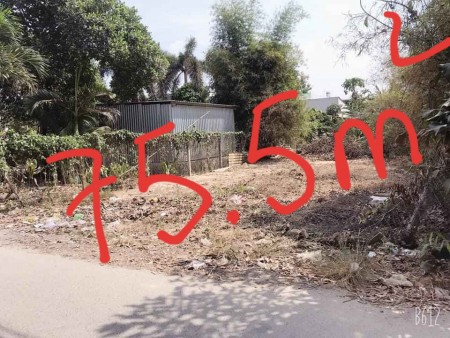 Thua banh mùa EURO chủ cần đẩy nhanh trả nợ. Hẻm xe hơi