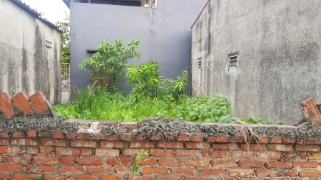 Bán đất tổ 4 Kim Quan, p Việt Hưng, dt 42.5m2, ngõ thông, cách đường ô tô 15m
