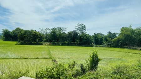 Mảnh đất đầy tiềm năng 918m full thổ cư 2 mặt tiền Cao Thắng Lương Sơn