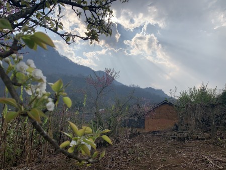 Đất Y Tý- Sapa 2. quy hoạch đất ở, view siêu đẹp làm Homestay