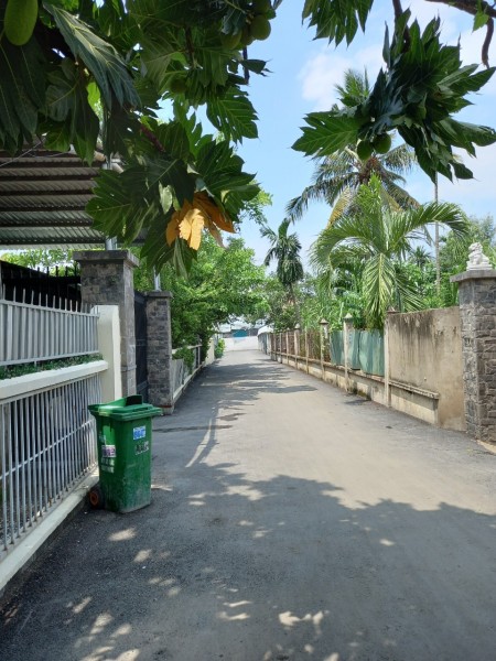Đi đến slide 6