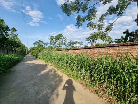 Đi đến slide 8