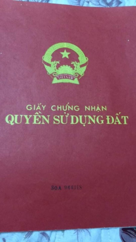 Bán nhà nguyên căn Kim Giang, diện tích khủng, giá bao rẻ thoả thuận chính chủ