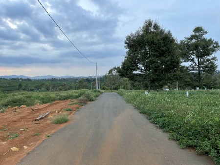 Đi đến slide 7
