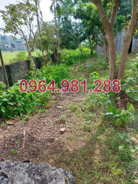 Bán gấp lô đất Hòa Lạc, Sát khu Xanh Villas, Cách Đại Lộ Thăng Long kéo dài 150m.