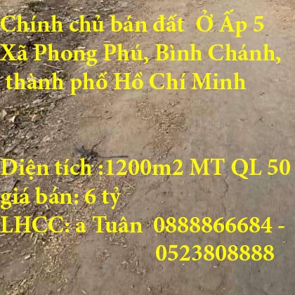Chính chủ bán đất Ở Ấp 5 Xã Phong Phú, Bình Chánh, thành phố Hồ Chí Minh