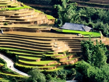 Đất Y Tý- Sapa 2, Cơ hội đầu tư đón sóng quy hoạch du lịch nghỉ dưỡng 4 mùa