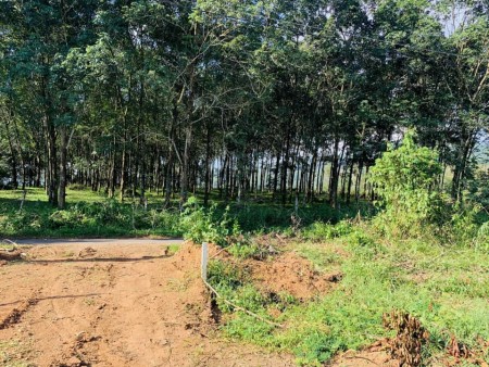 Bán lô đất diện tích sử dụng 764m2, Nam Ban, giá 1.5 Tỷ, đường bê tông View Đồi