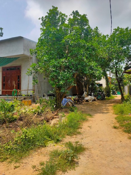 Bán đất kiệt Lý Nam Đế mở đường 13.5m, chính chủ bán giá thương lượng, có sổ