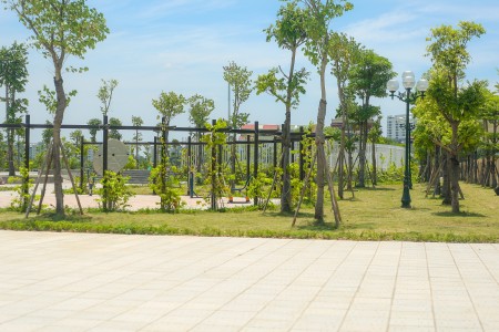 Đi đến slide 5