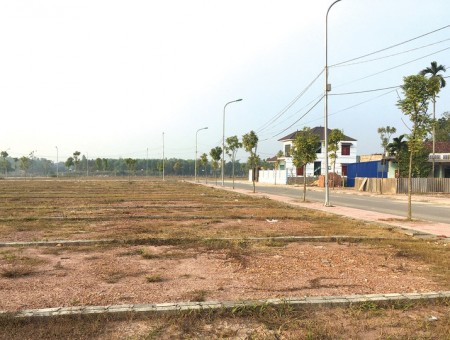 Đất vị trí đẹp, chính chủ diện tích sử dụng 600m2 đường vành đai 4, sinh lợi đầu cao