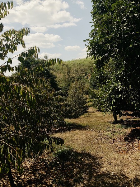 Đi đến slide 5