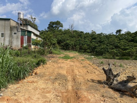 Bán lô đất đẹp thôn 11 Xã Đại Lào thành phố Bảo Lộc, diện tích 10000m2, giá 6 tỷ