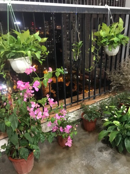Tôi chính chủ cần bán căn hộ 2PN, 2vs dt 75m2, tòa nhà Golden Field, Mỹ Đình
