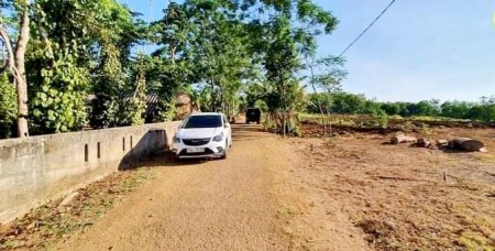 Bán đất Gio Linh Gio Sơn Quảng Trị, đường nhựa 12m, tiện ích đầy đủ