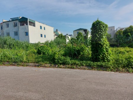 bán gấp giá rẻ khu tdc phú cát tiện nghi sát đại lô thăng long vài trăm mét