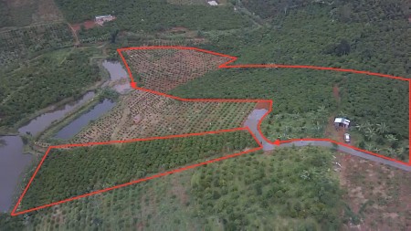 Bán nhanh lô đất xã Lộc An huyện Bảo Lâm, diện tích 1000m2, giá 600 triệu