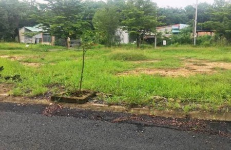 Bán nhanh miếng đất lô góc 2 mặt tiền 1530m2, xây tự do, thổ cư, shr, giá 500 triệu