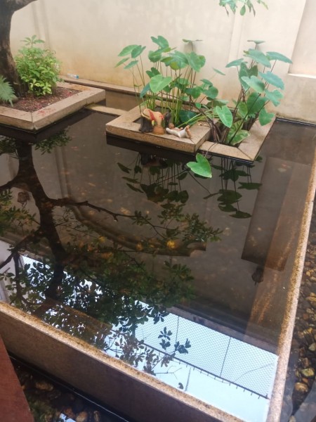 Đi đến slide 5