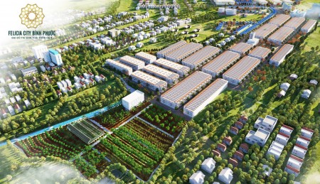 Dự Án Đất Nền Felicia City Bình Phước chỉ 400 triệu/nền, ngân hàng hỗ trợ 50%