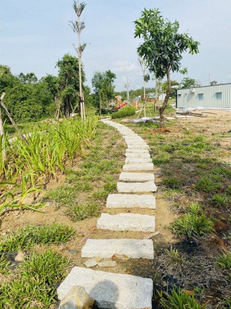 Đi đến slide 10