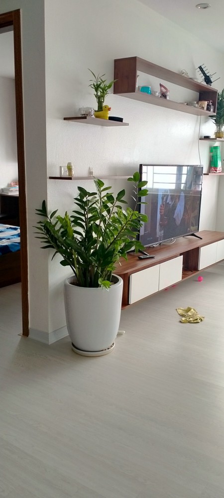 Đi đến slide 7
