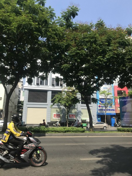 Cho Thuê Nhà Trường Sơn, Quận Tân Bình, nguyên căn rộng 12x20, 2 lầu.