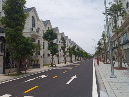Cần Bán Biệt Thự Song Lập Khu Hải Âu Vinhomes Ocean Park