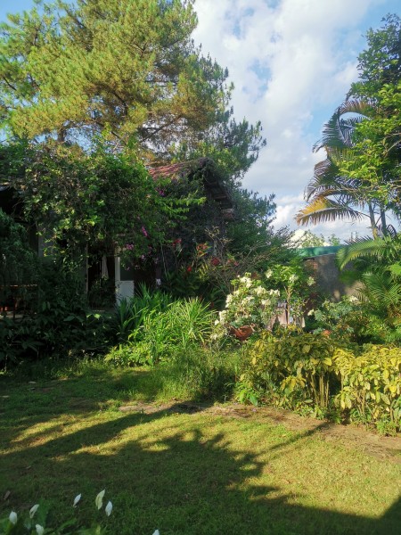 Đi đến slide 6