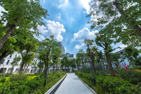 Đi đến slide 5