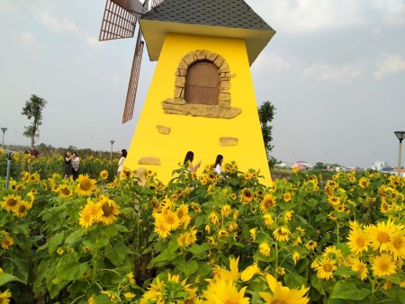 Đi đến slide 5