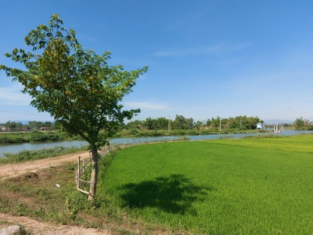 Giá rẻ hơn thị trường đến 10%, Đất gần trạm thu phí Điện Bàn giá rẻ, đường 8m.