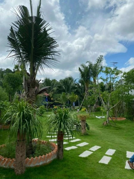 Đi đến slide 2