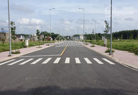 [Bán Gấp] Dự Án Long Thành PEAL Đối Diện Chợ Long Thành Gía Gốc CĐT
