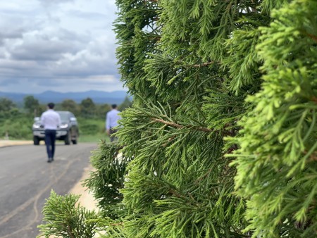 Đi đến slide 3